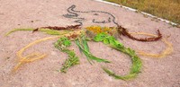 #88 Make a mosaic Elopus, 2 meters in diameter, made entirely of natural objects (i.e. no plastic, human-made materials, only leaves, rocks, dirt, flowers, wood, etc).