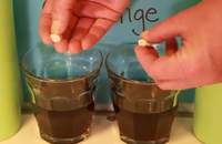 #166 (Video) Time-lapse: Re-enact the 1980’s ''Pepsi Challenge'' with a twist. Take two human molars and put each in a glass. Pour Pepsi into one glass and coke into the other and allow them to sit for 72 hours. Remove. Which is better for discoloring/dissolving teeth? Coke or Pepsi? 